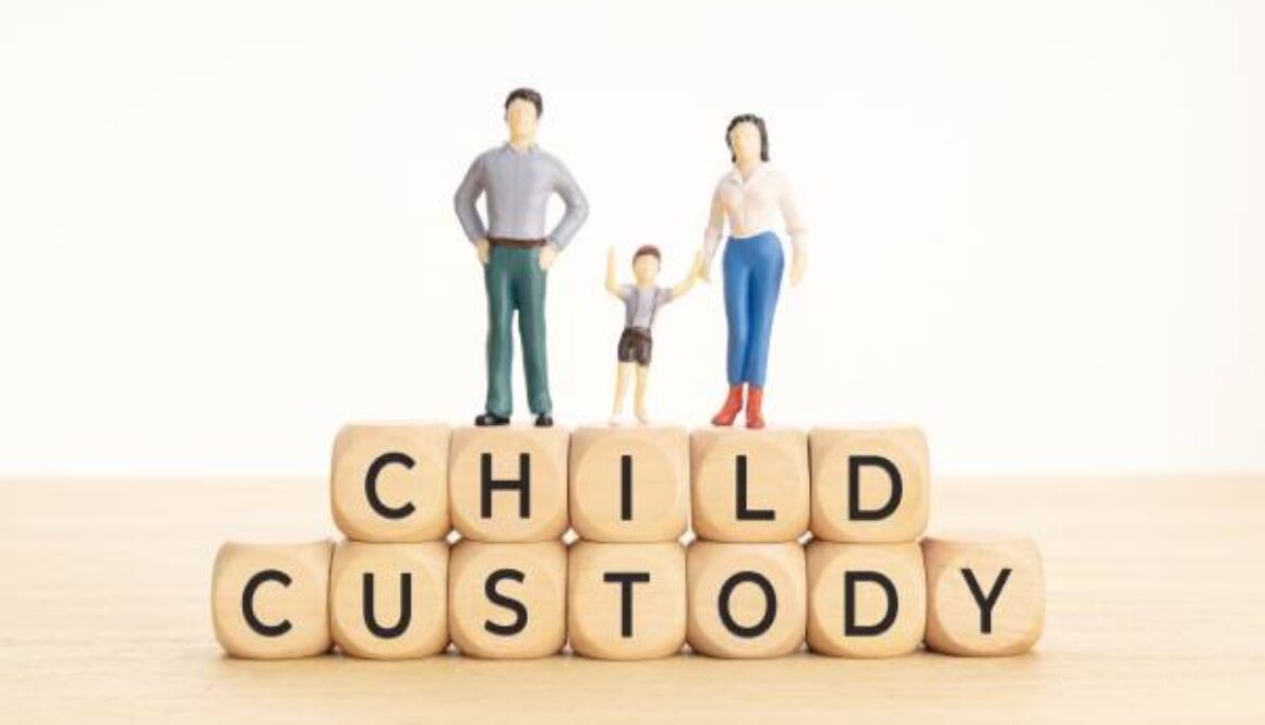 best child custody lawyer in michigan