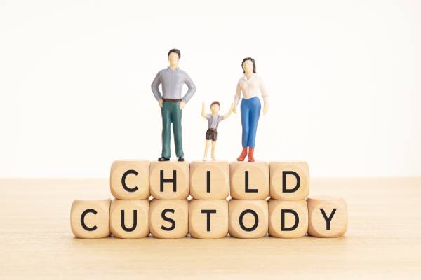 best child custody lawyer in michigan