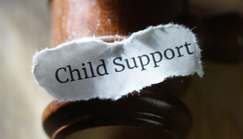 Understanding Child Support Laws in Divorce Cases: A Guide for Divorce Lawyers